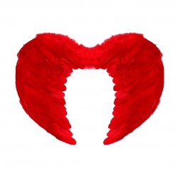 ALAS PLUMA ROJA 60X45 CM