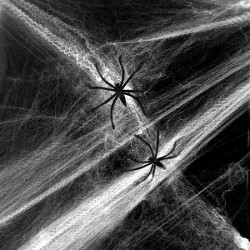TELARAÑA BLANCA