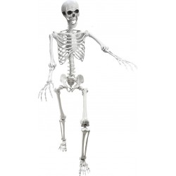ESQUELETO HALLOWEEN