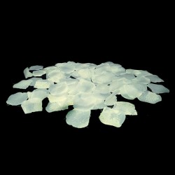 BOLSA PETALOS BLANCOS