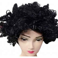 PELUCA AFRO NEGRA